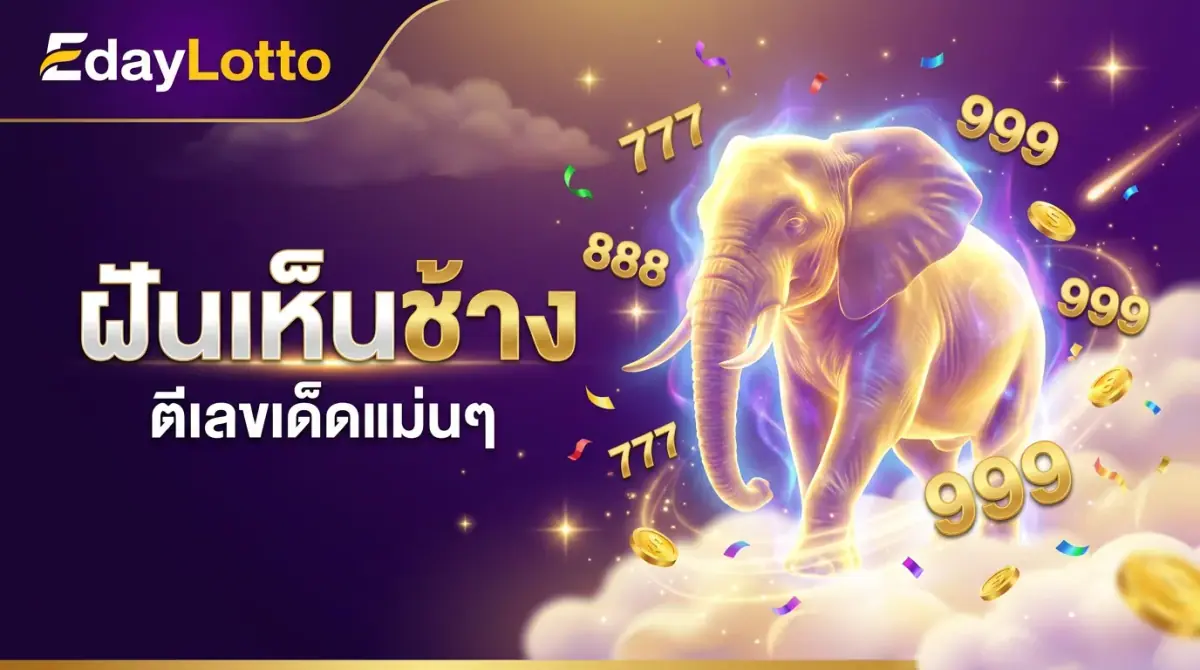 ฝันเห็นช้าง เลขเด็ดตีเลขแม่นๆ Eday Lotto